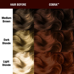 Cobra® Hair & Nail Color Bundle