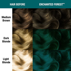 Enchanted Forest®